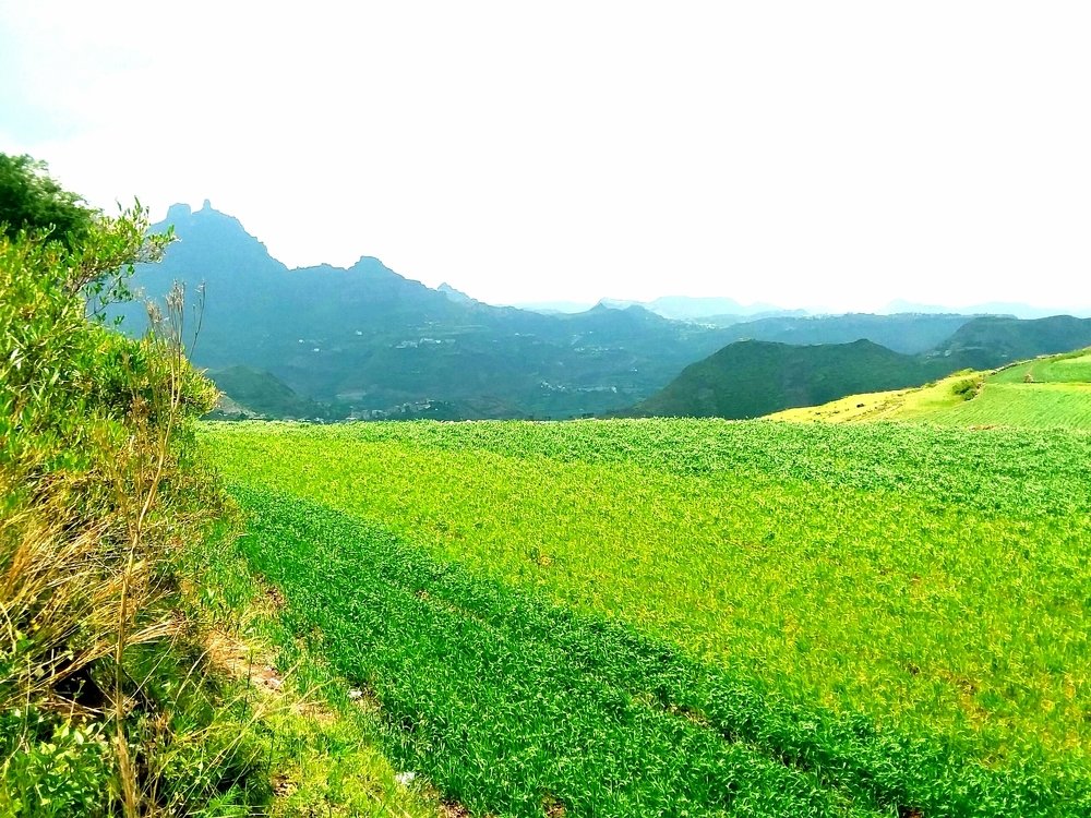 Photograph by BASSAM ALI ALBAADANI