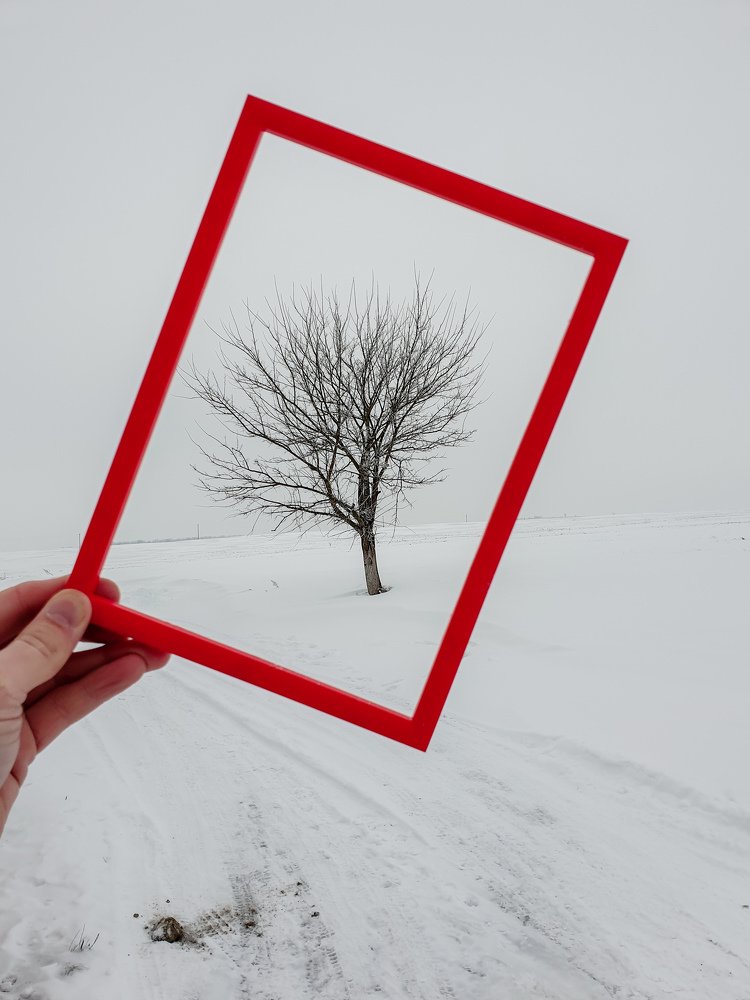 Photograph by Алім Сукач