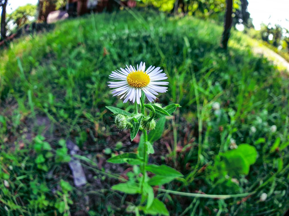 Photograph by Алім Сукач