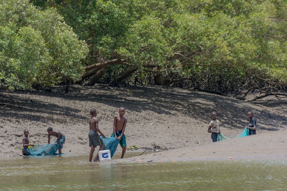 Фотография автора Hamid Hamid