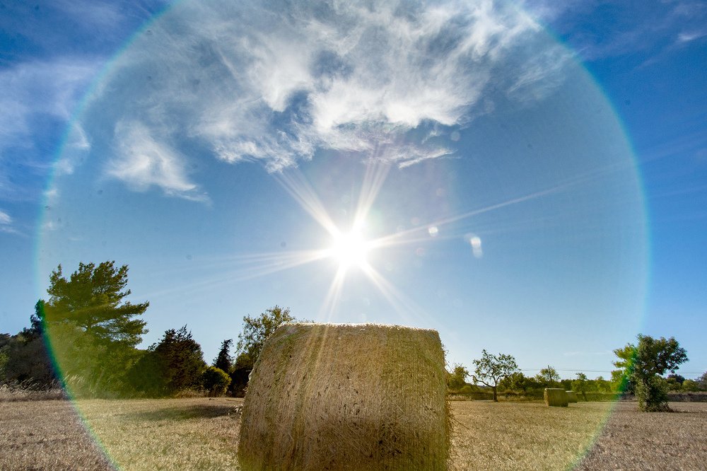 Photograph by Carmen Vich