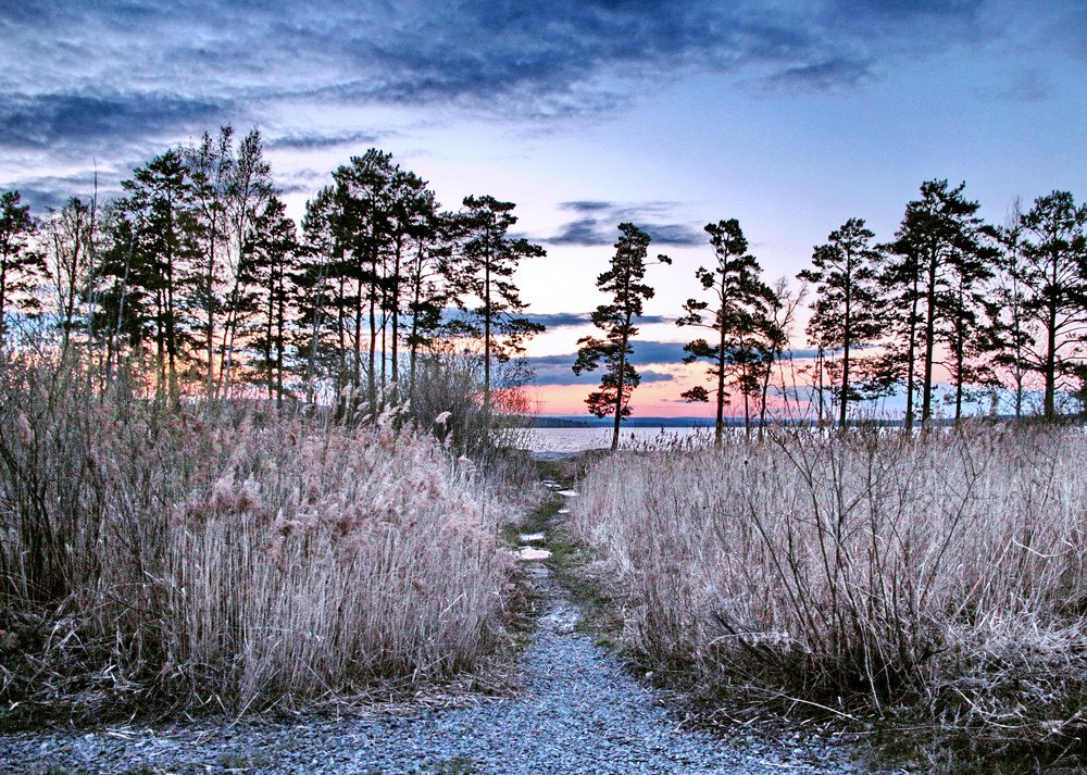 Photograph by Эдуард Петруша