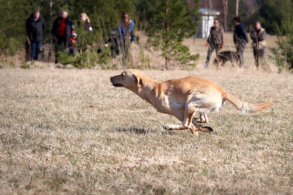 Photograph by Sergei Nehhožin