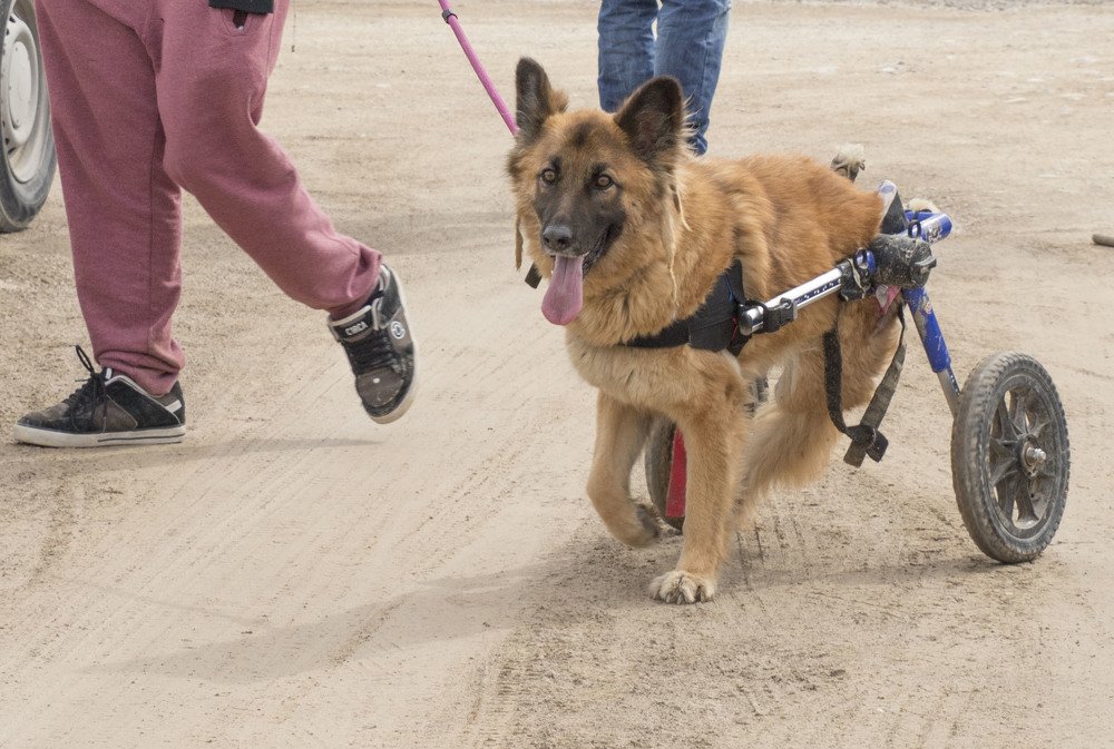 Photograph by Carmen Vich