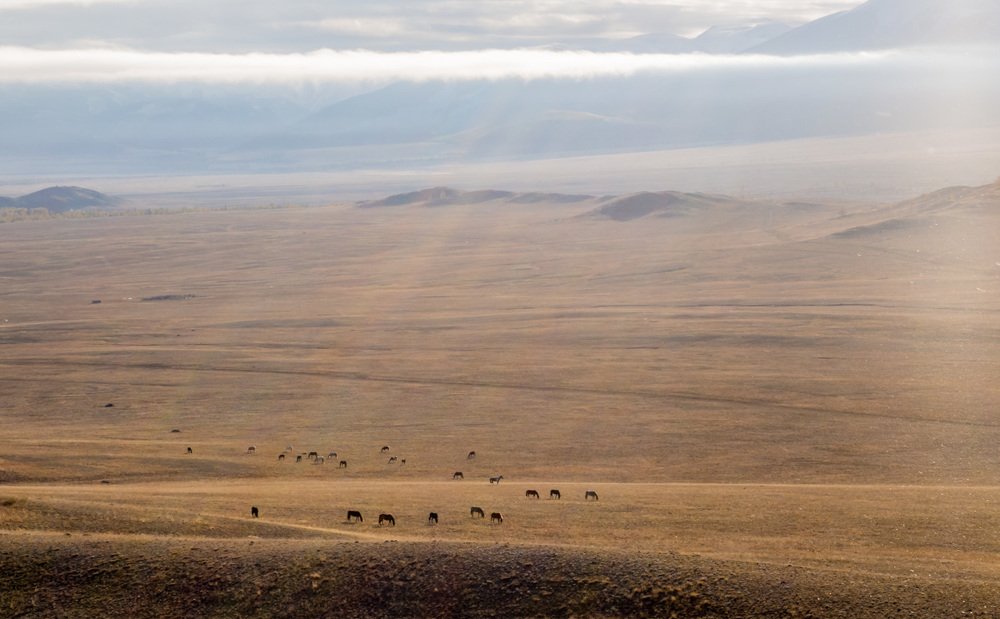 Фотография автора Виктор Чистов