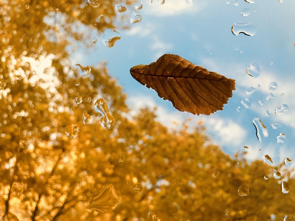 Photograph by Olga Thomas