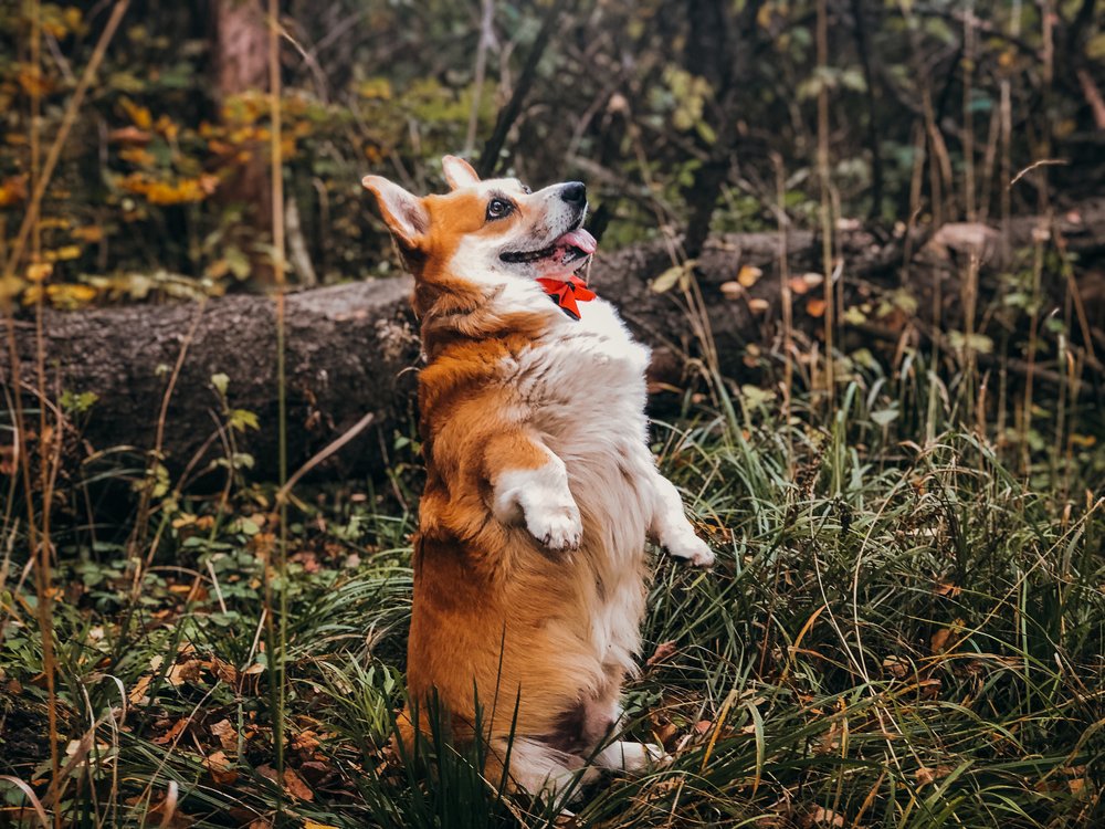 Photograph by Юлия