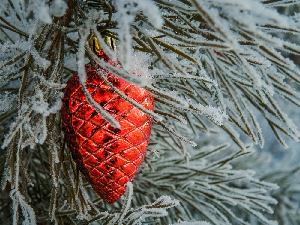 Photograph by Виктор Сёмушкин