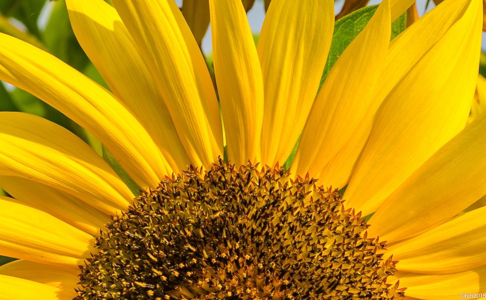 Photograph by Hans-Jürgen Hinz