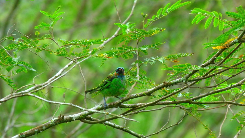 Photograph by Rodrigo de Oliveira Santos