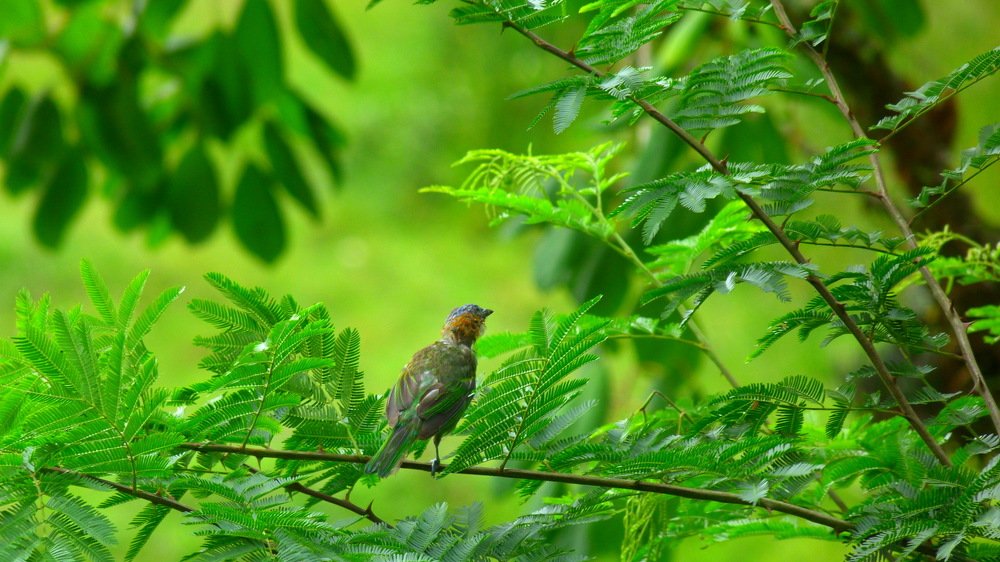 Photograph by Rodrigo de Oliveira Santos