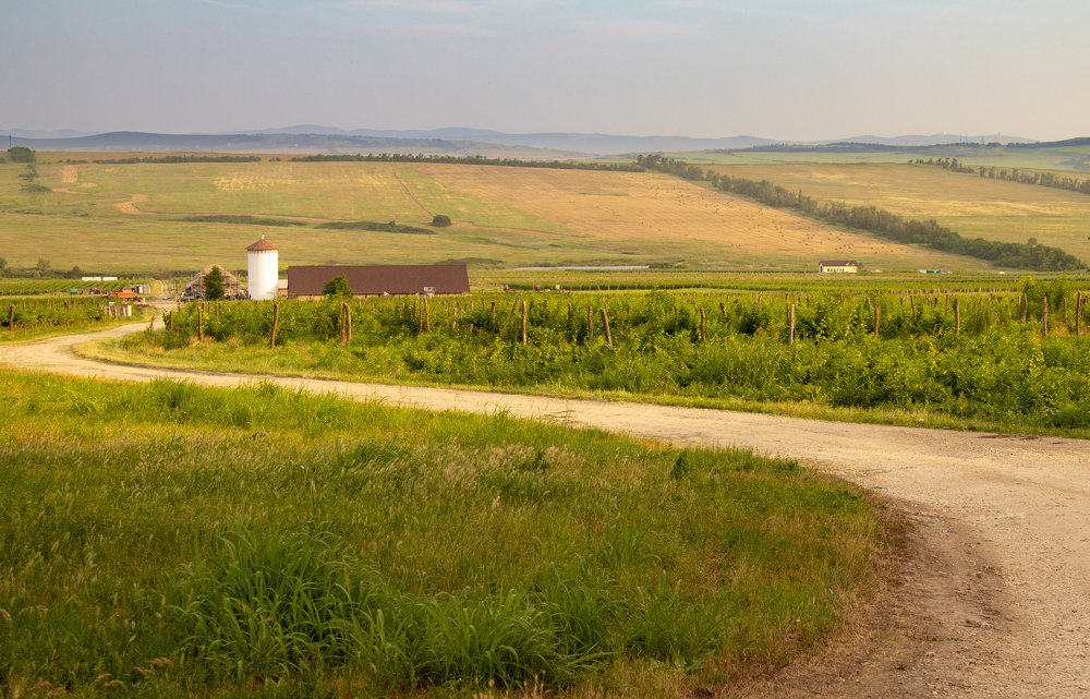 Photograph by Ярослав Осипов