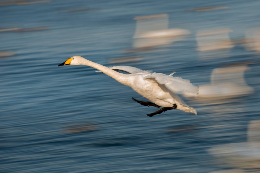 Опережая время!