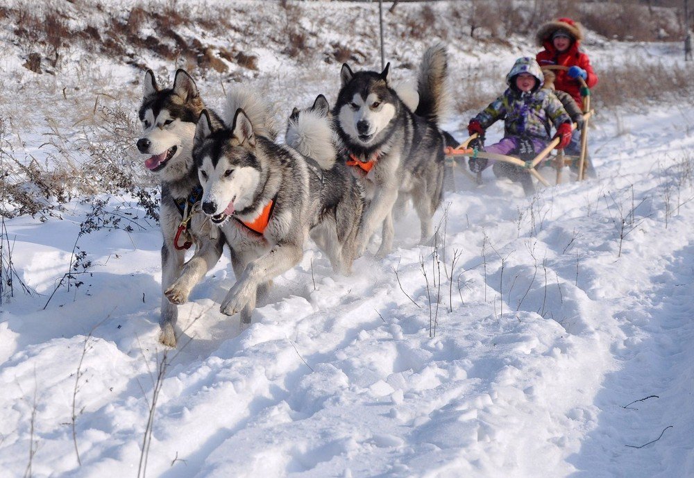 Photograph by Лариса Крышталь