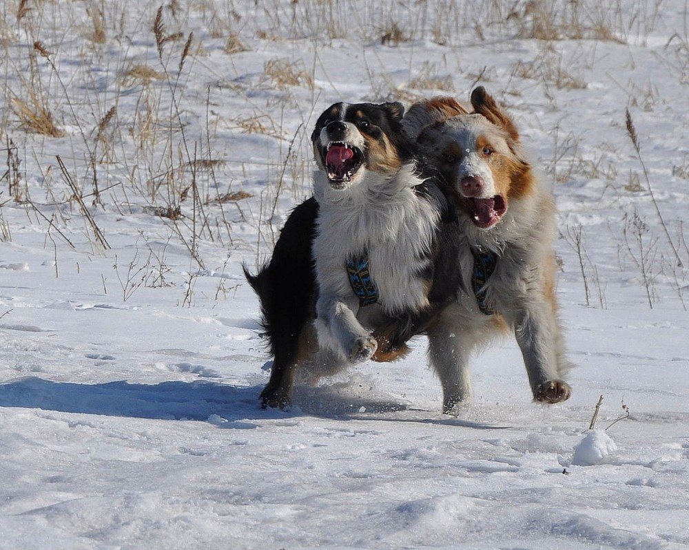 Photograph by Лариса Крышталь