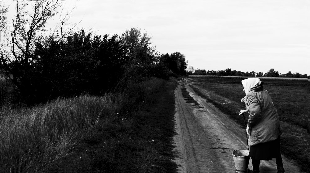 Осенний марафон.