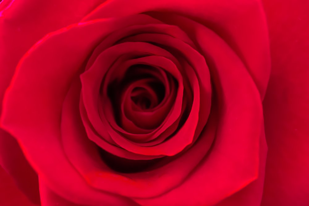 Photograph by Silvia Marcos