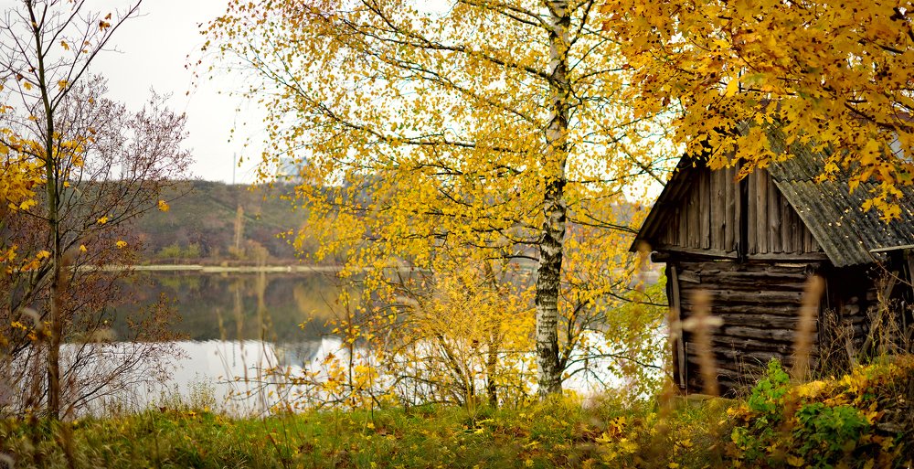 Фотография автора Майя Афзаал