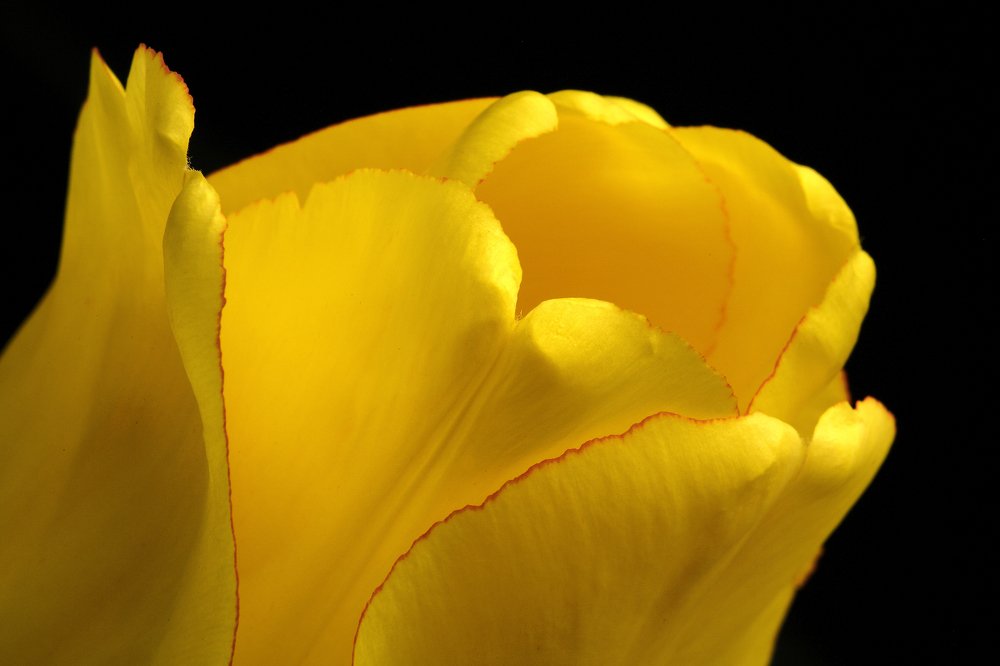 Photograph by Samantha Adams