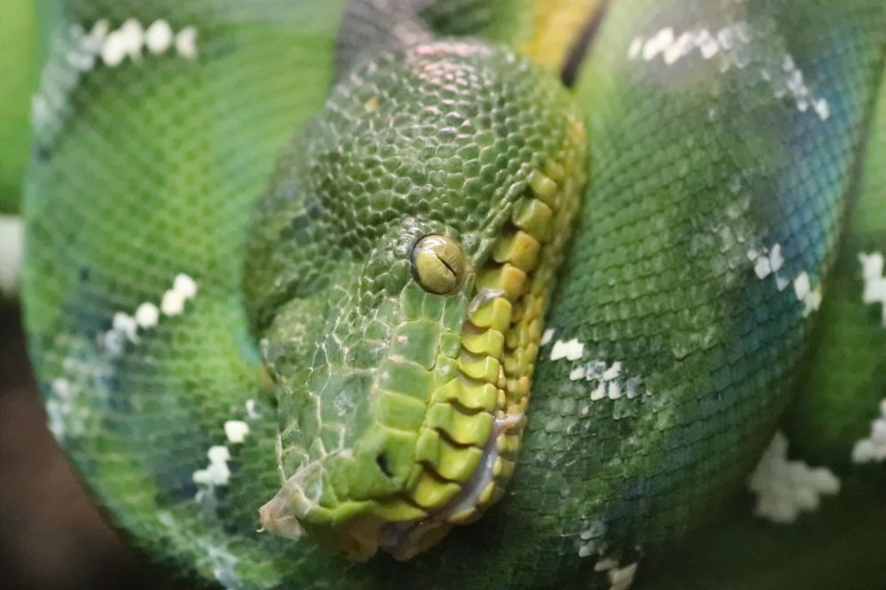 Photograph by Анна Иларионова