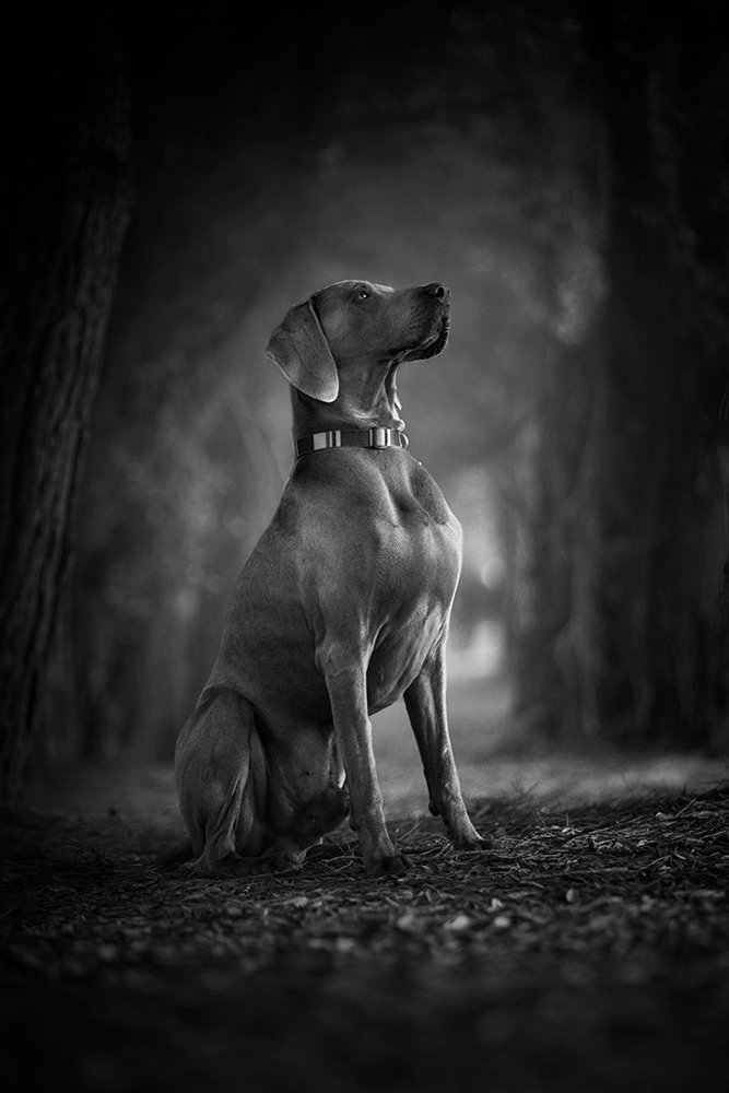 Photograph by Alexandre Marques