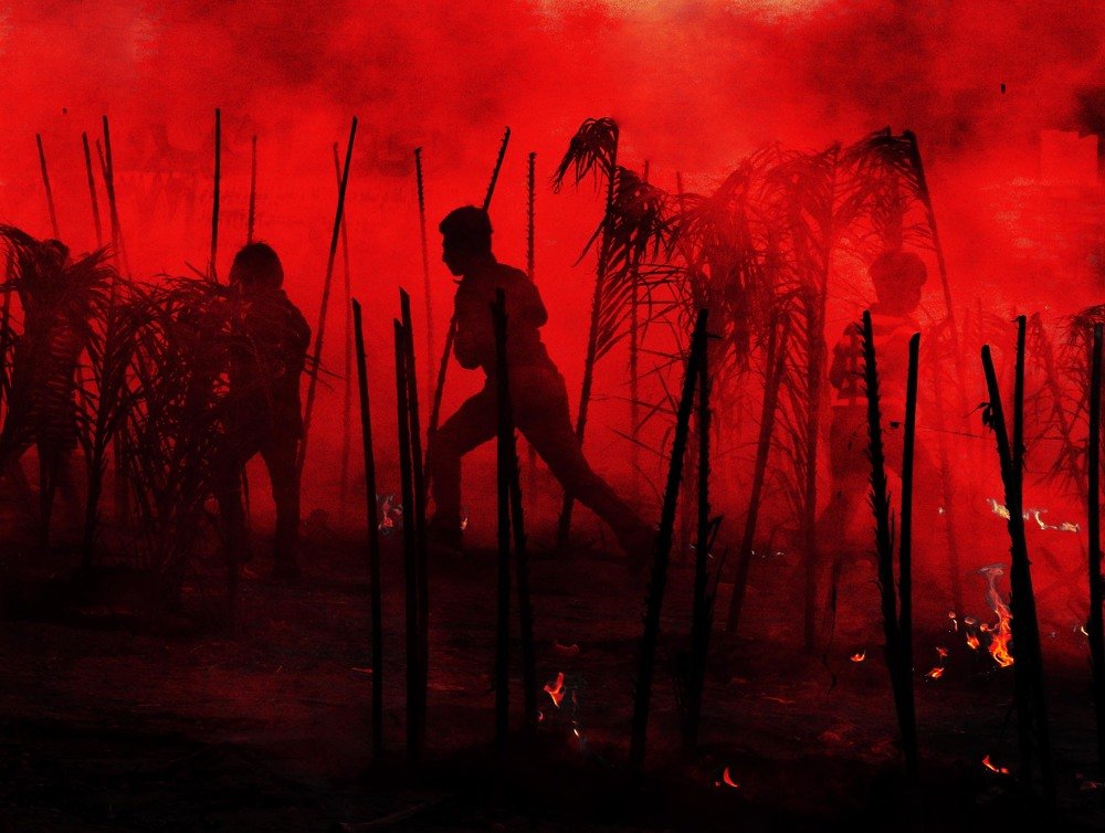 Фотография автора arabzadeh hossein