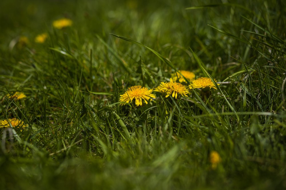 Фотография автора Оркина Ксения