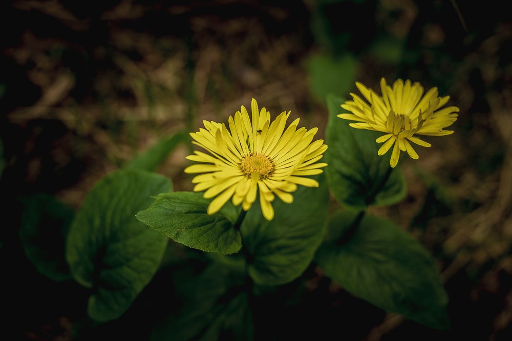 Фотография автора Оркина Ксения