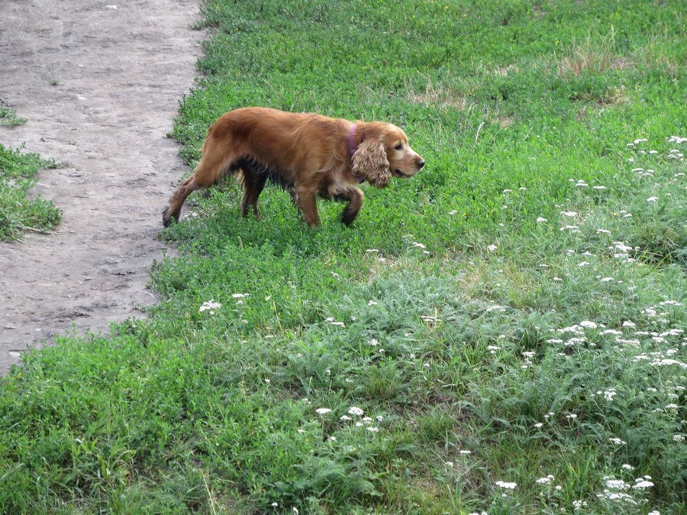 Photograph by Елена Лапина