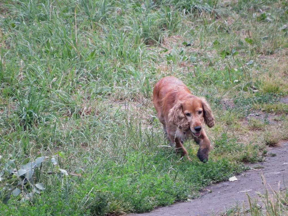 Photograph by Елена Лапина