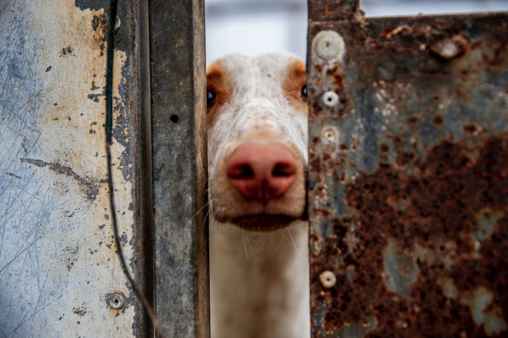 Photograph by Carmen Vich