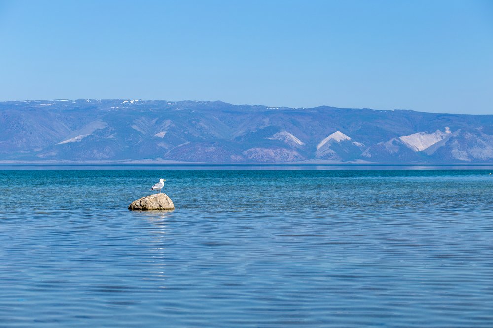 Фотография автора Оркина Ксения