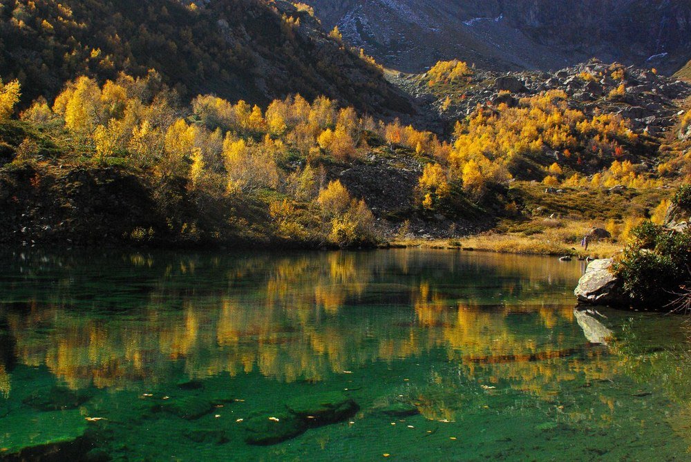 Отражение ...