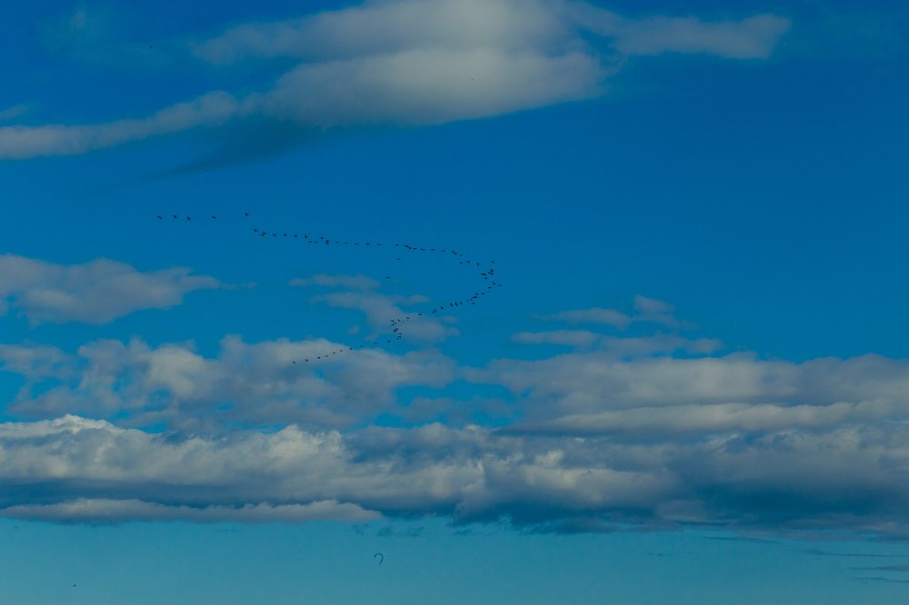 Фотография автора Оркина Ксения