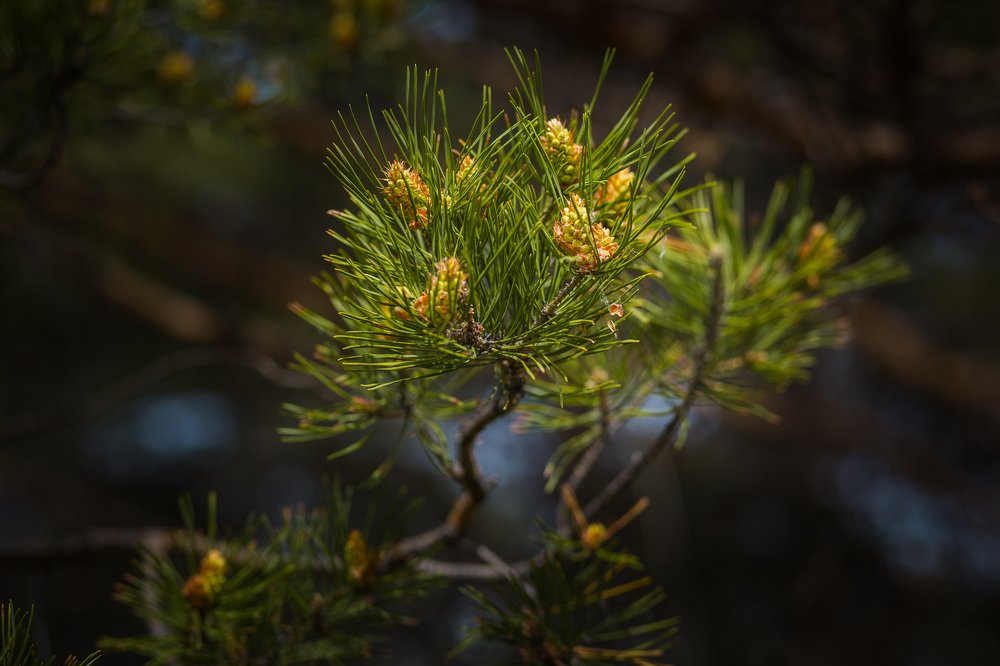Фотография автора Оркина Ксения