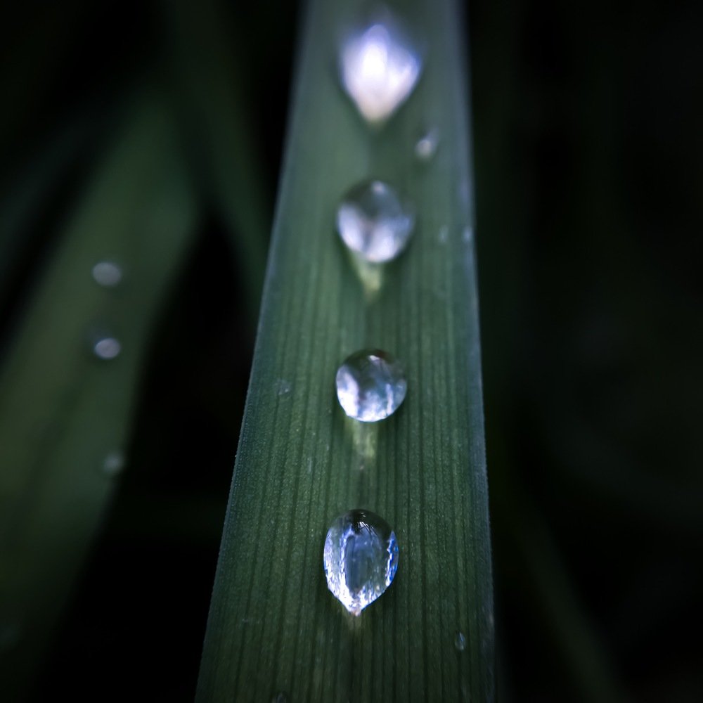 Photograph by Ольга Мукомела