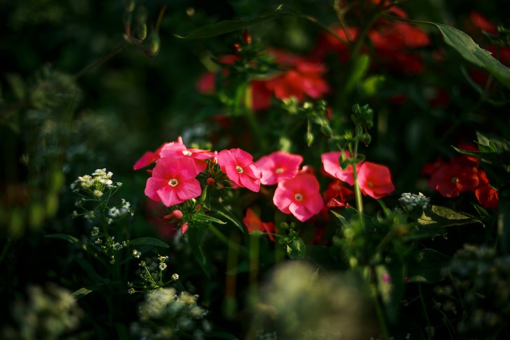 Фотография автора Оркина Ксения