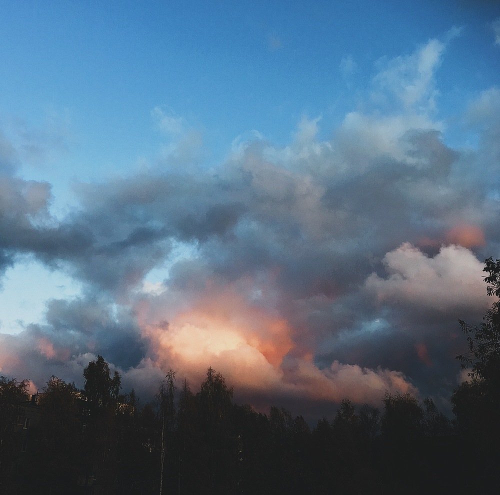 Photograph by Ольга Мукомела