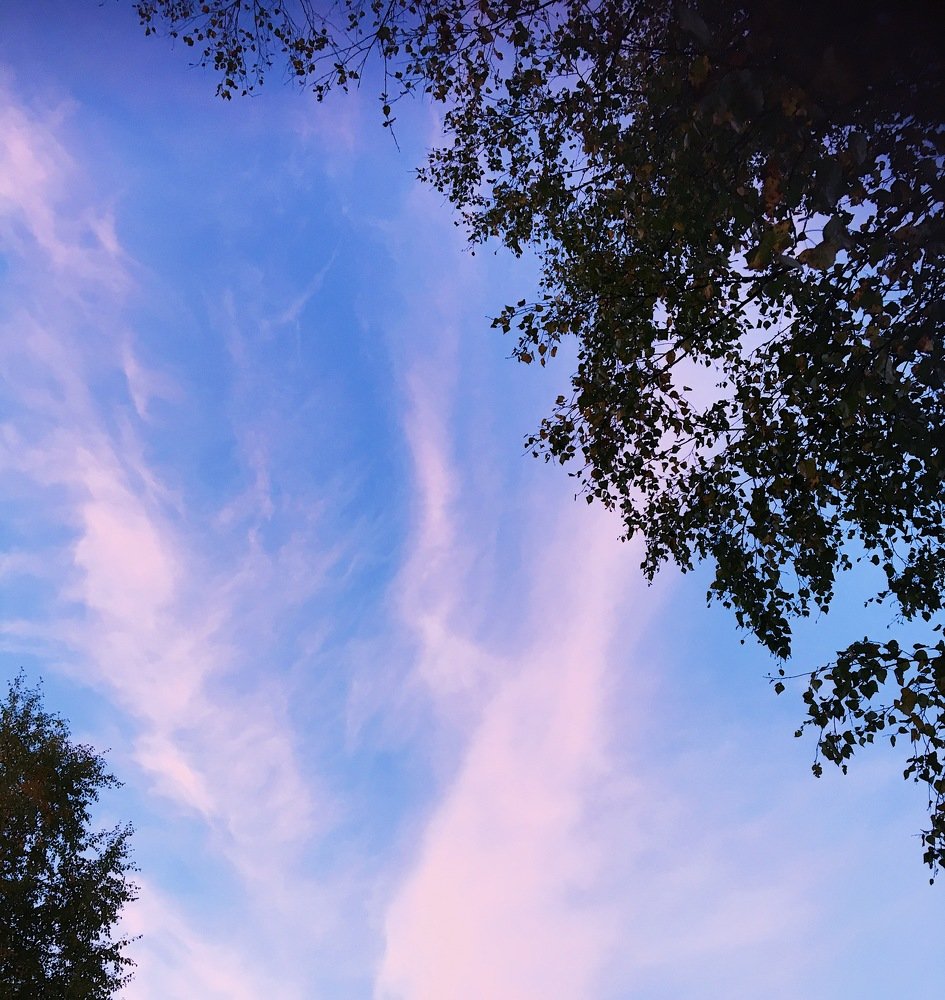 Photograph by Ольга Мукомела