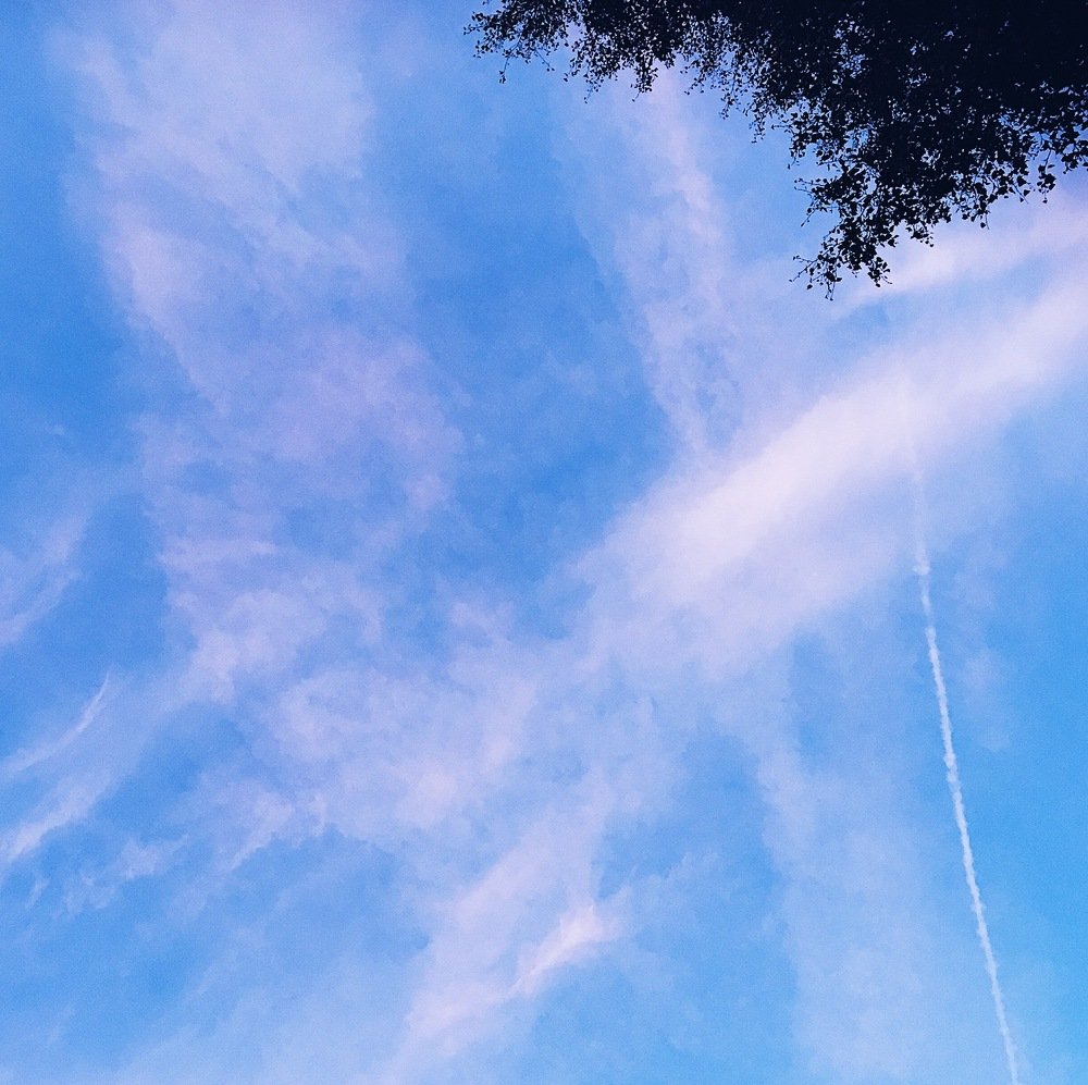 Photograph by Ольга Мукомела