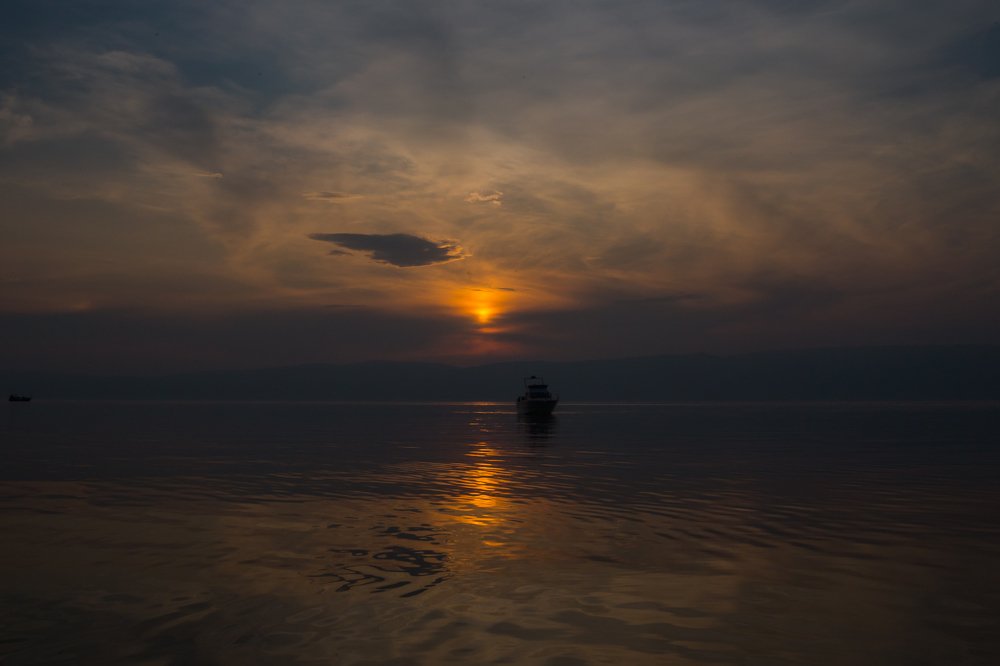 Фотография автора Оркина Ксения