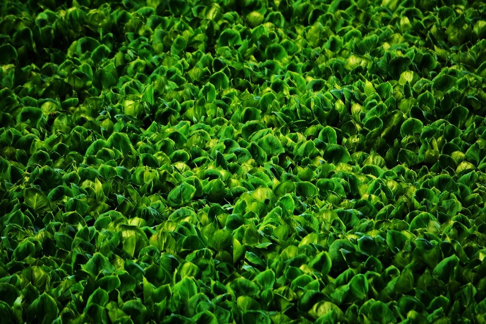 Фотография автора Глеб Рубашкин