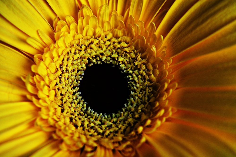 Фотография автора Глеб Рубашкин