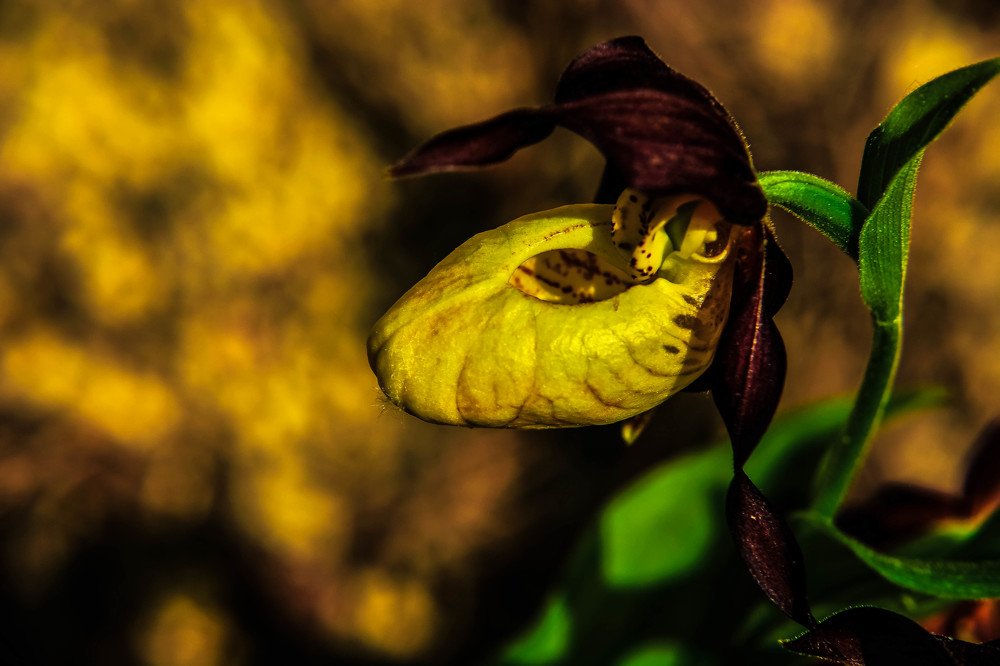 Фотография автора Глеб Рубашкин