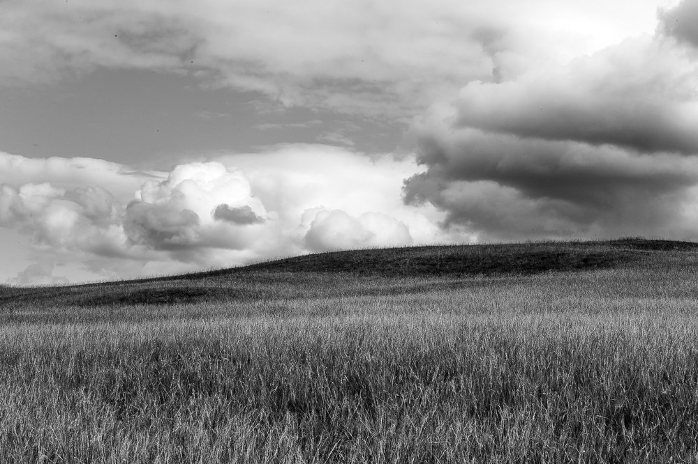 Фотография автора Оркина Ксения