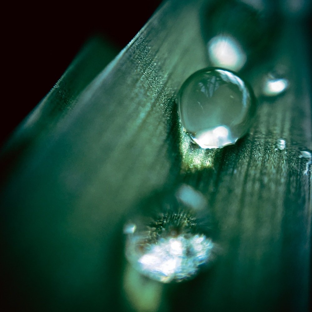 Свет в капле