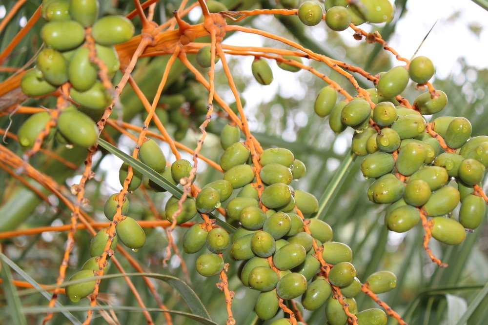 Photograph by Виталий