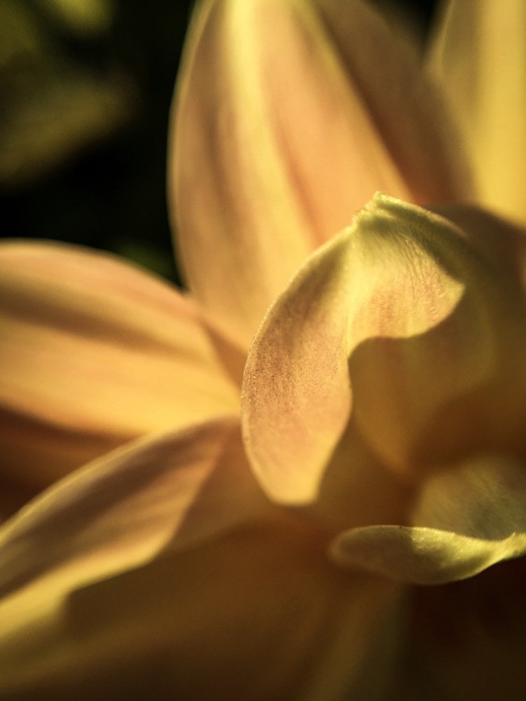 Photograph by Ольга Мукомела