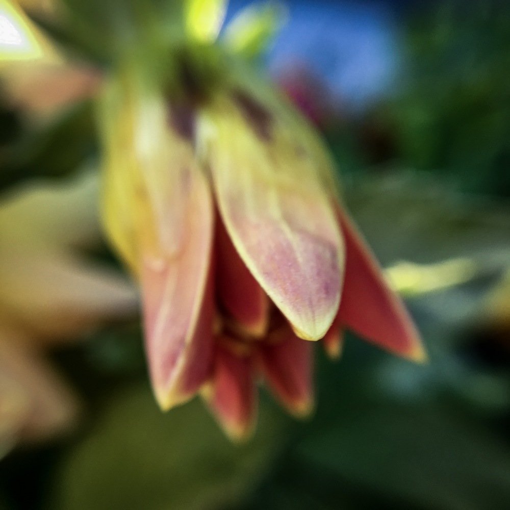 Photograph by Ольга Мукомела