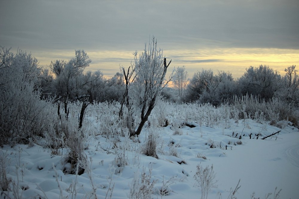 Photograph by Галина Мазур